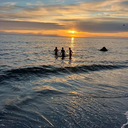 I Stamsund, Lofoten * Rishaugen